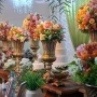 Foto 53